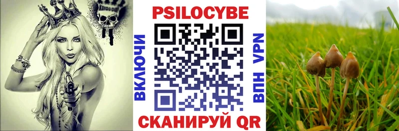 Псилоцибиновые грибы мухоморы  MEGA вход  Красноярск 
